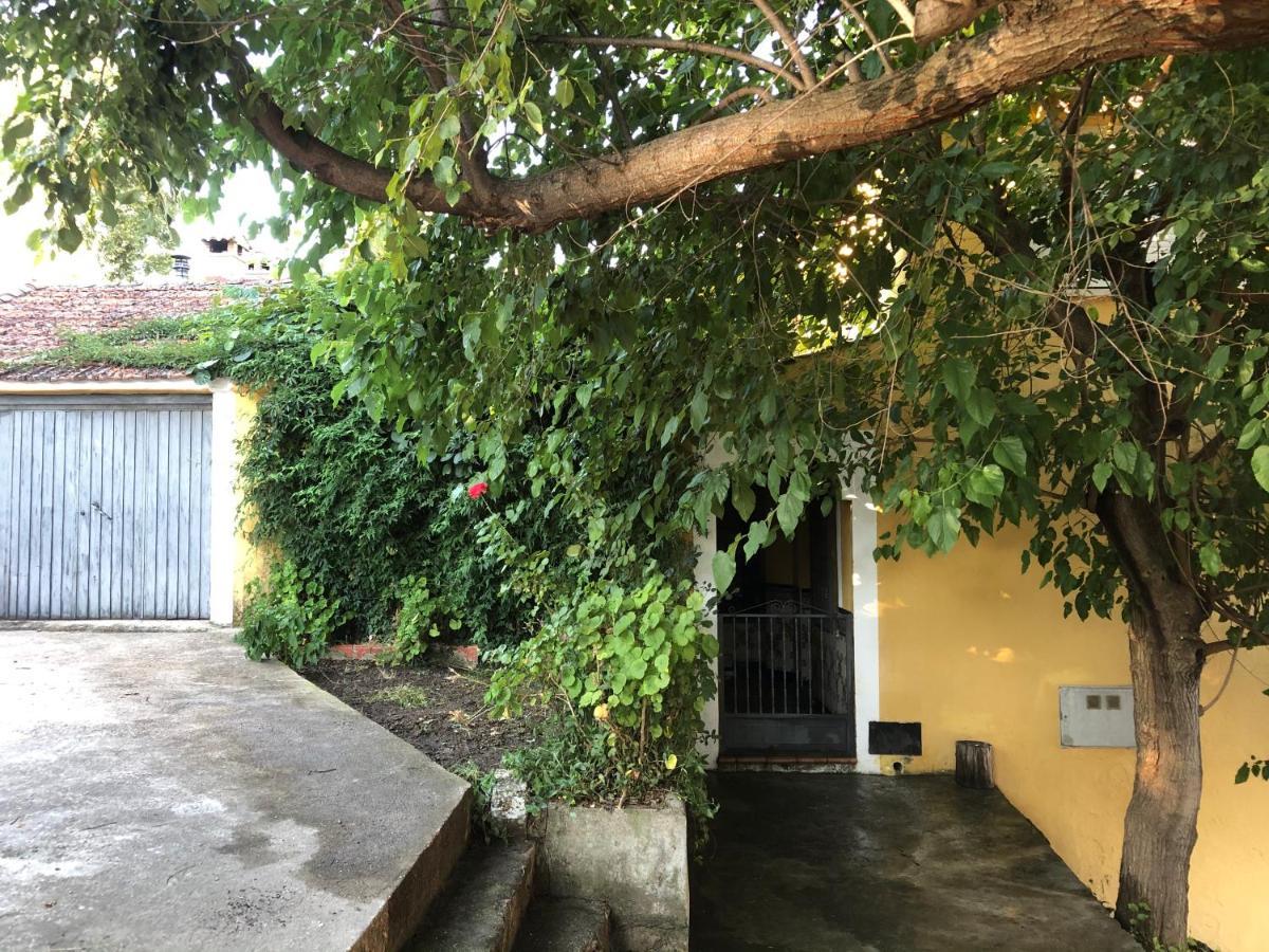 La Parra  Casa Casillas 빌라 외부 사진